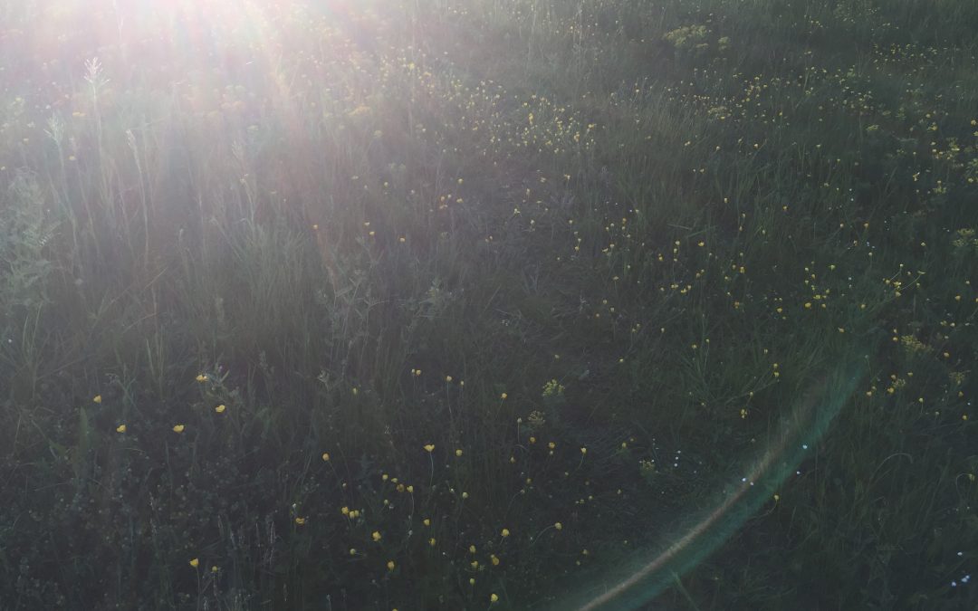 Au sujet de la concentration, la peur et la gestion du temps